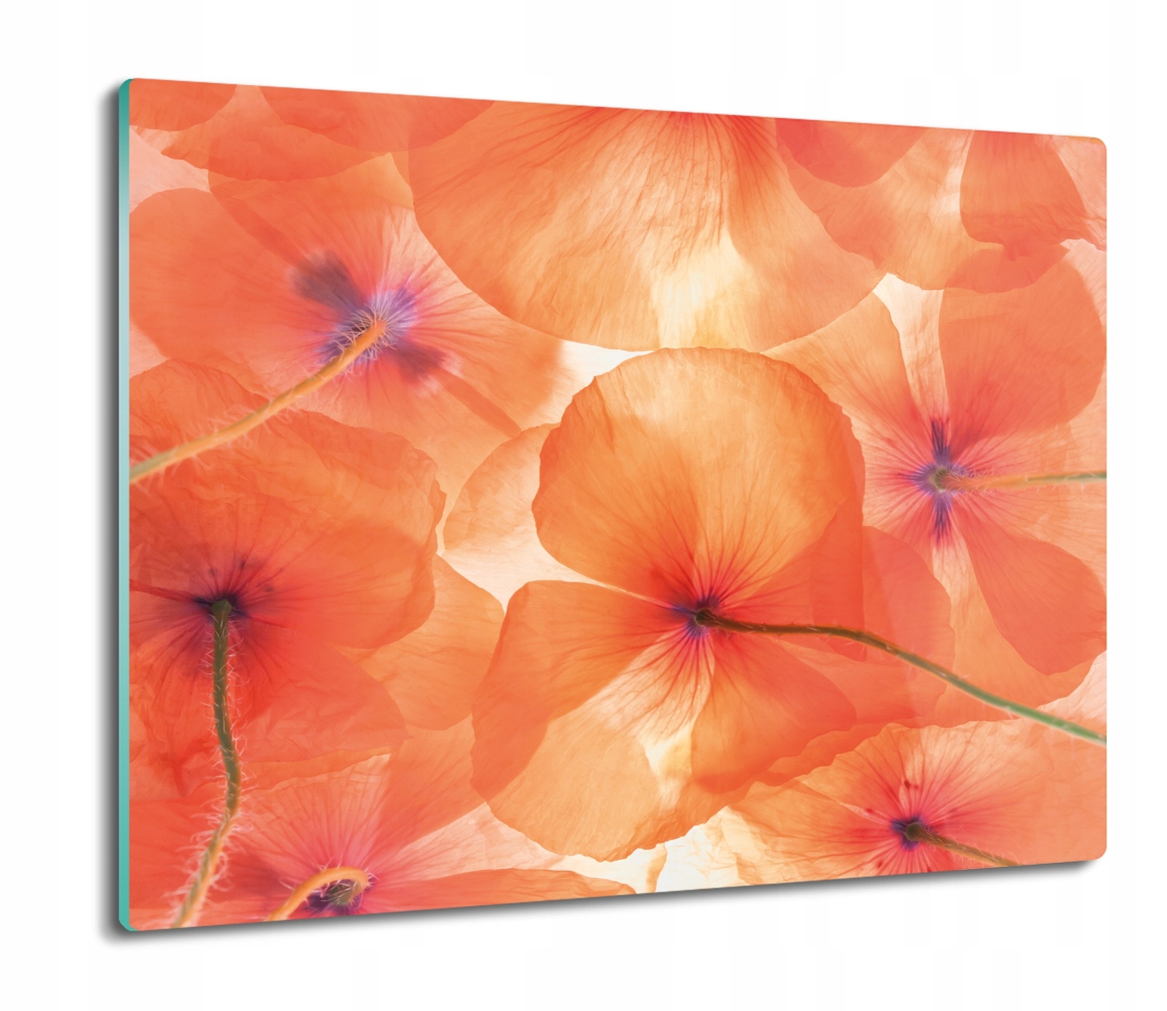 

Maki akwarela 60x52 deska na prezent prostokątna