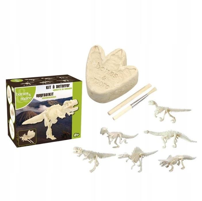 

Bones&More Duży szkielet dinozaura wykopalisko