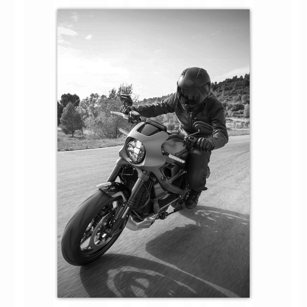 

Plakat 62x93 Harley Davidson Motocykl