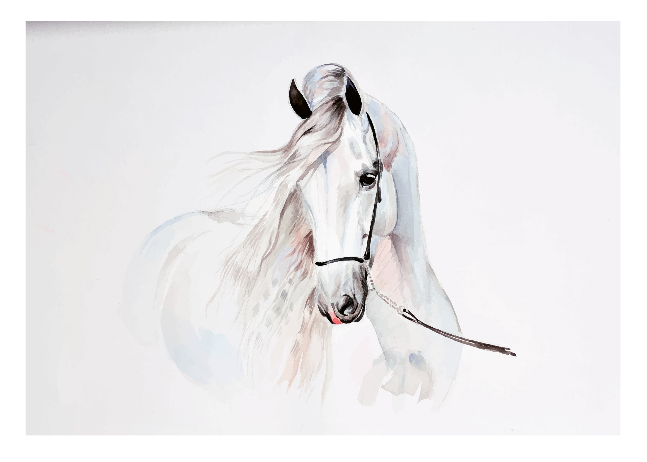 

Fototapeta Z Koniem Koń Białe Konie Salon 254x184