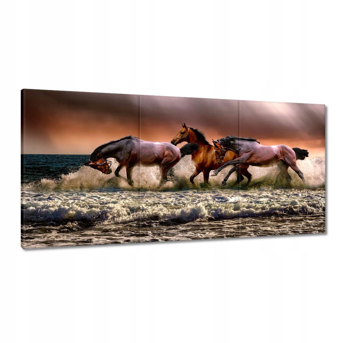 Obrazy 180x90 Cválajúce kone