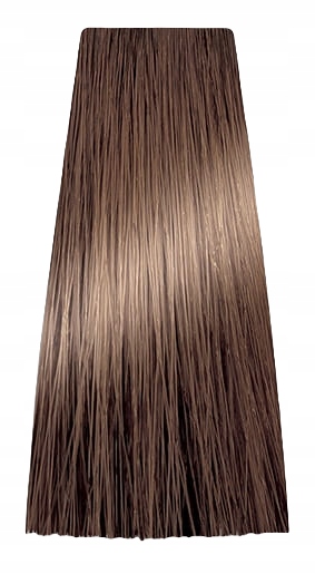 CHANTAL ART COLOR PROSALON FARBA 100 ML 6,0 Marka Chantal