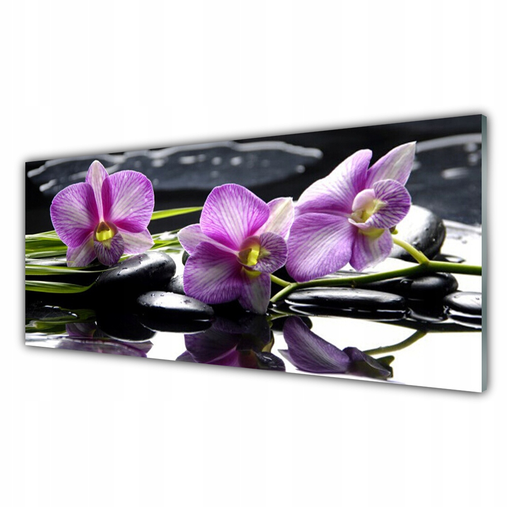 

Fotoobraz na ścianę 125x50 Kwiat Orchidea Roślina