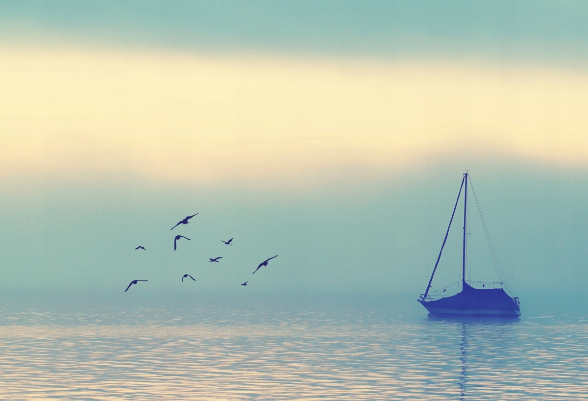 

Fototapeta Flizelinowa Żaglówka Jezioro - 104x70