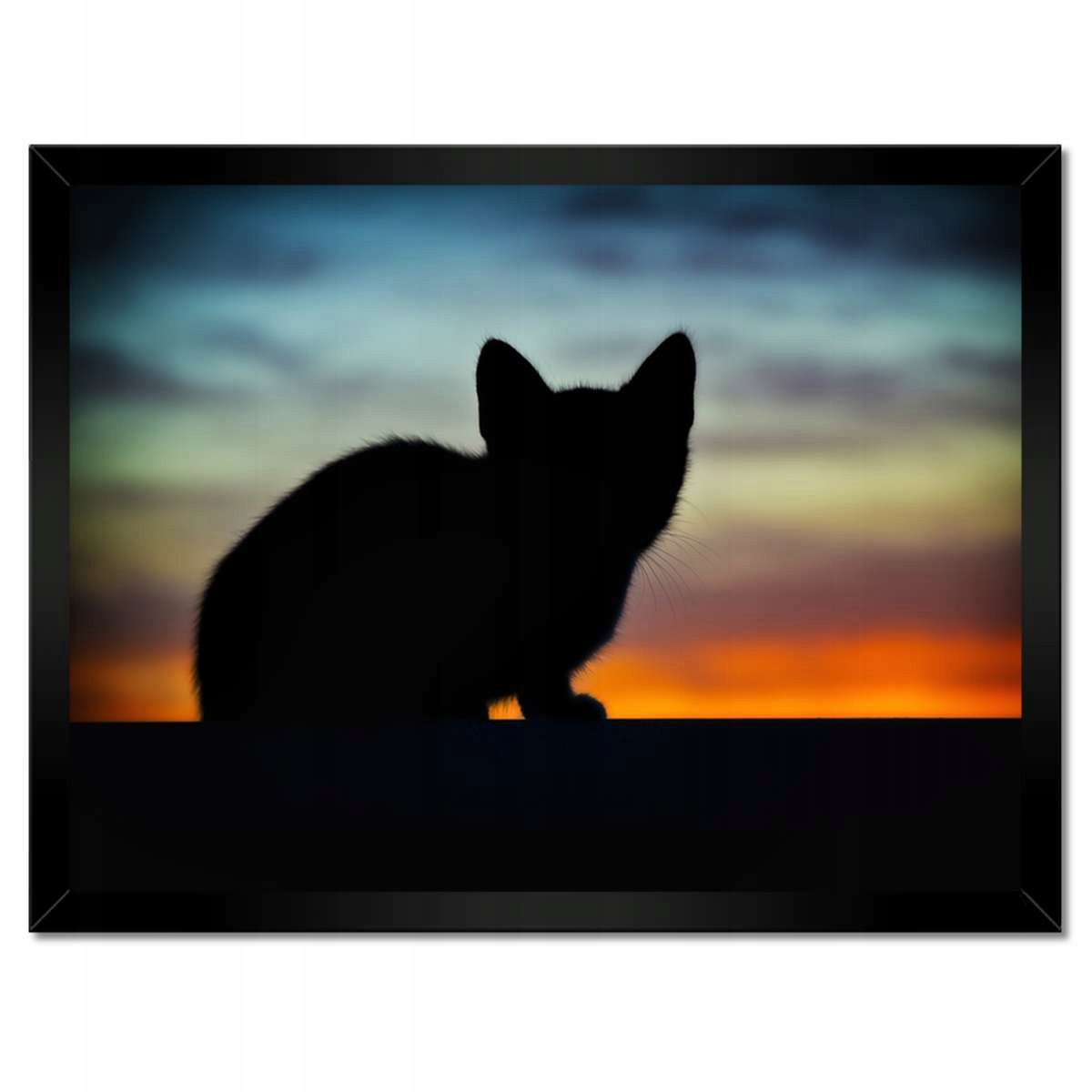 Plakáty v rámu 40x30 Připoutaná kočička