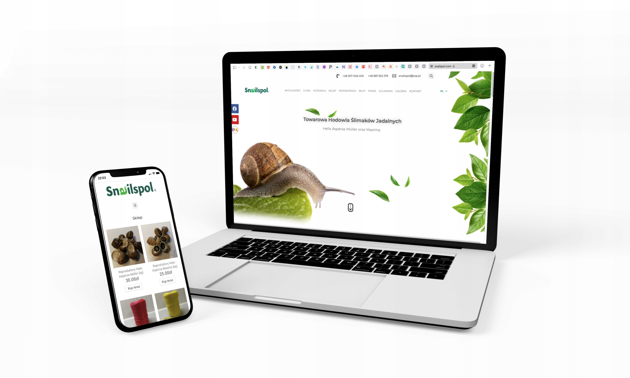 STRONA INTERNETOWA WWW + RWD + CMS + SSL