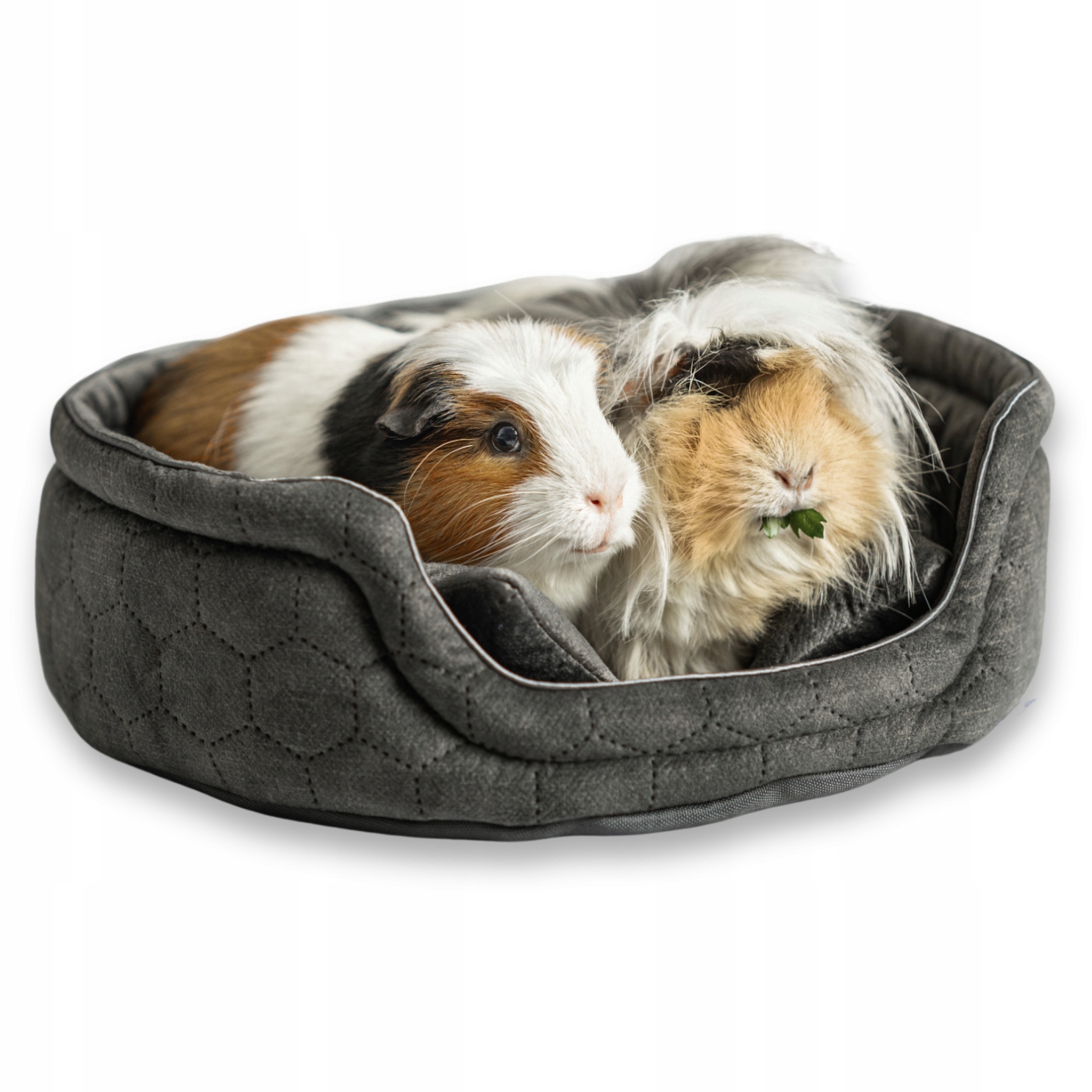 Kraina Tuptusia voděodolná pelíšek M pro morčata a králíky