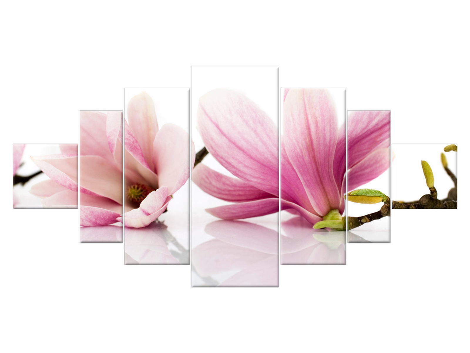 

Obraz Kwiaty Różowe magnolie 200x100 do salonu