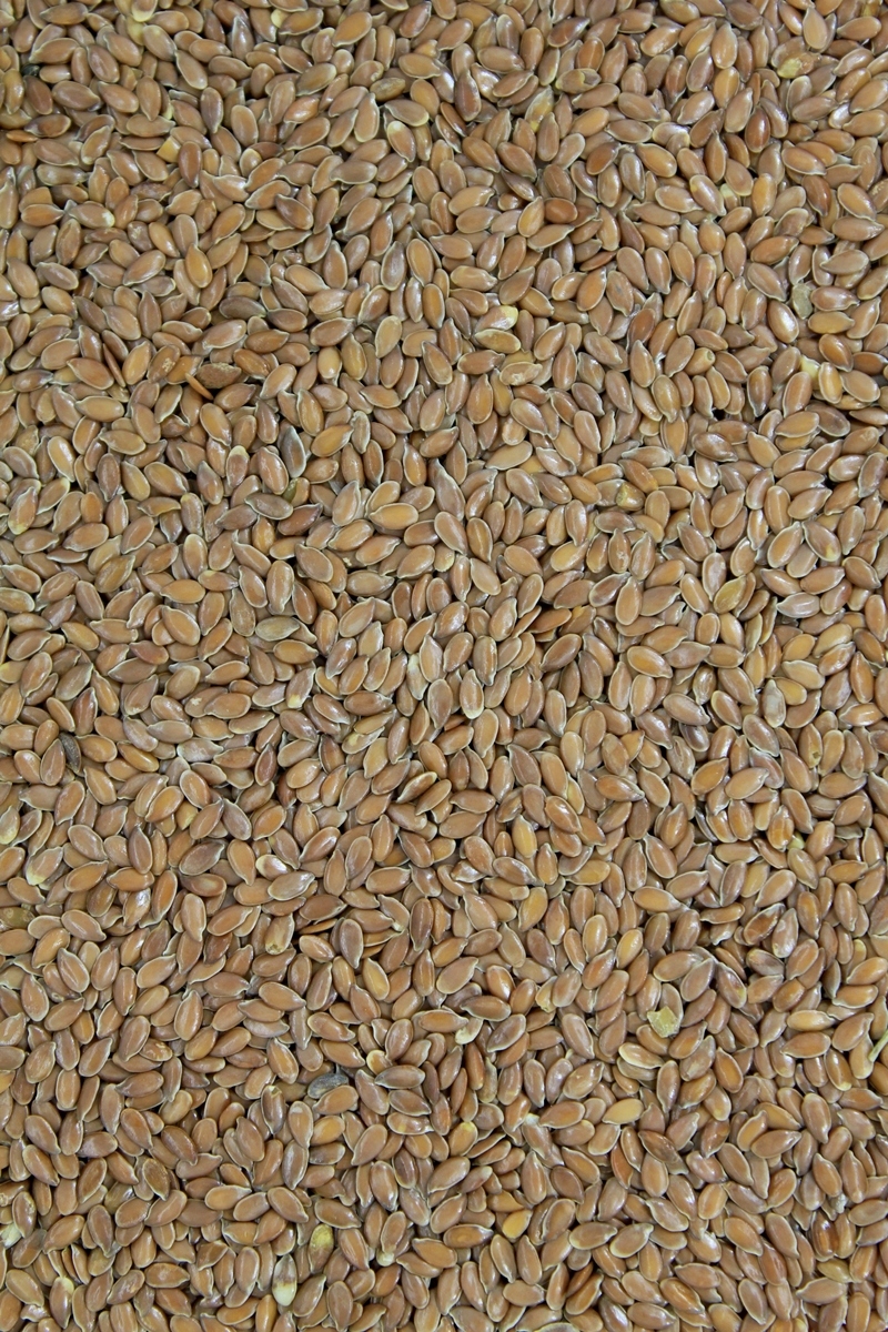 Siemię Lniane Brązowe Spożywcze 20kg