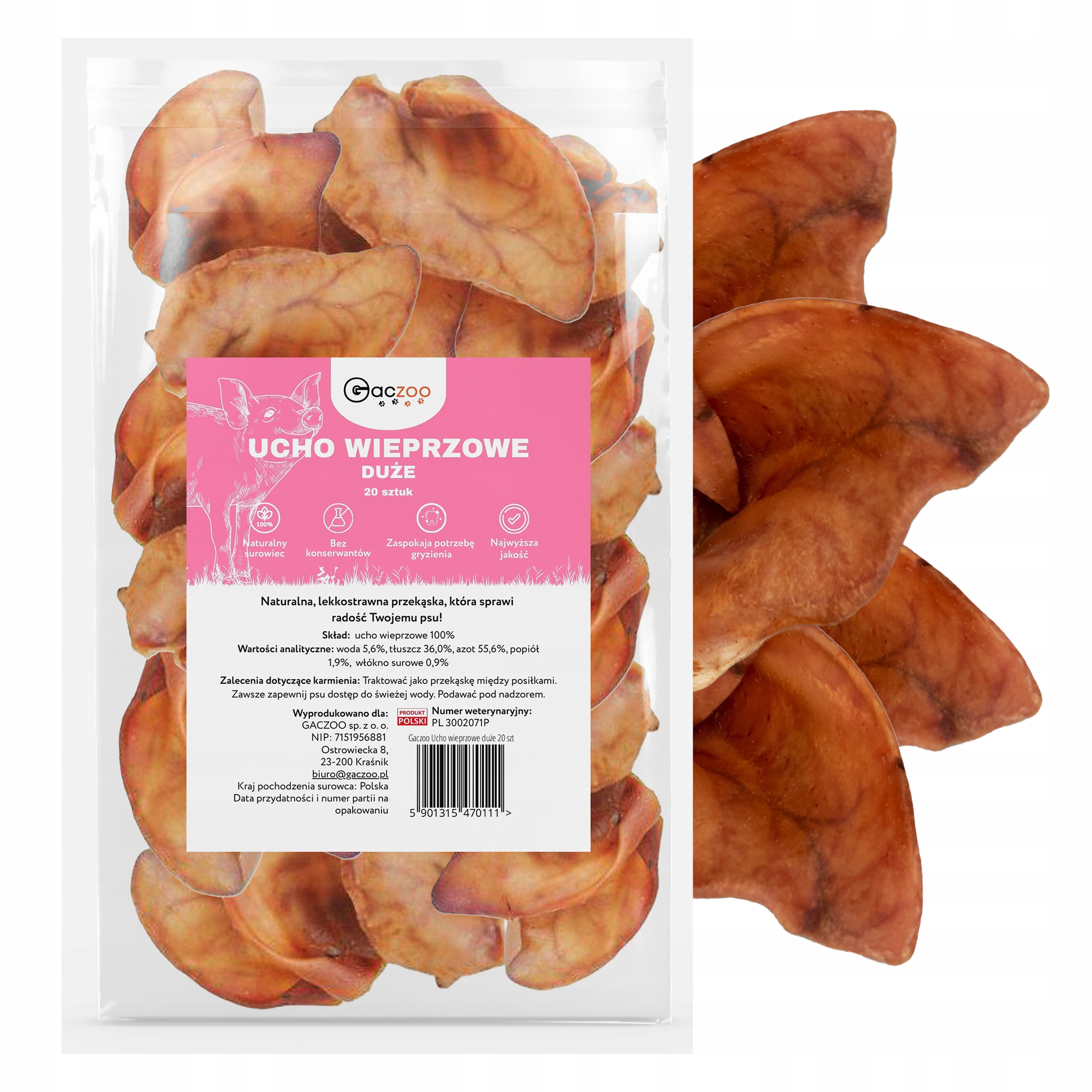 Levně Psí pamlsek Vepřové ucho velké XL 20 kusů Gaczoo 100% přírodní