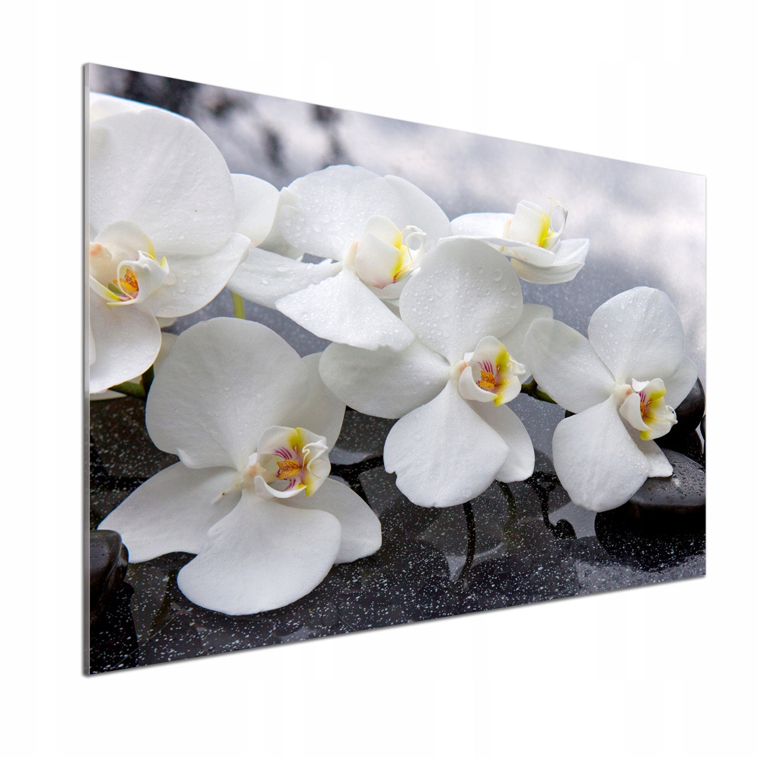 Panel medzi nábytkom v kuchyni Orchidea 100x70 Lepidlo