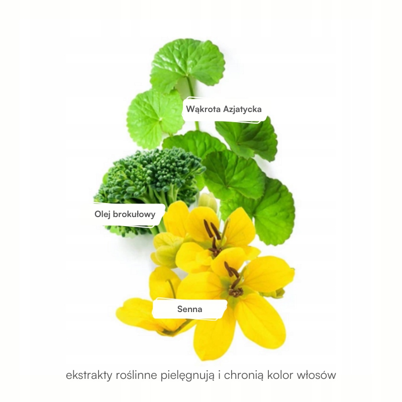 OLEJEK DO WŁOSÓW COLOR CARE OCHRONNY KHADI 50ml Marka Khadi