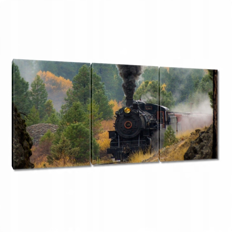 

Obrazy 120x60 Lokomotywa parowa