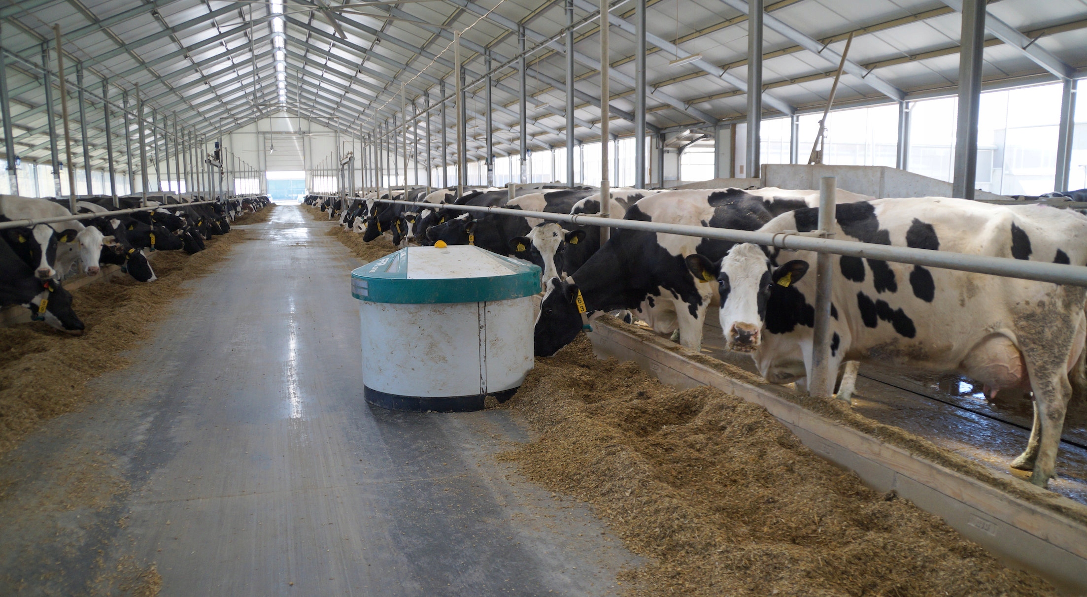 ŚRODEK OWADOBÓJCZY - MASTER DIPTRON 1L EAN (GTIN) 5903317211495