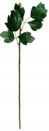 

Łodyga Peonii Piwonii 61 cm