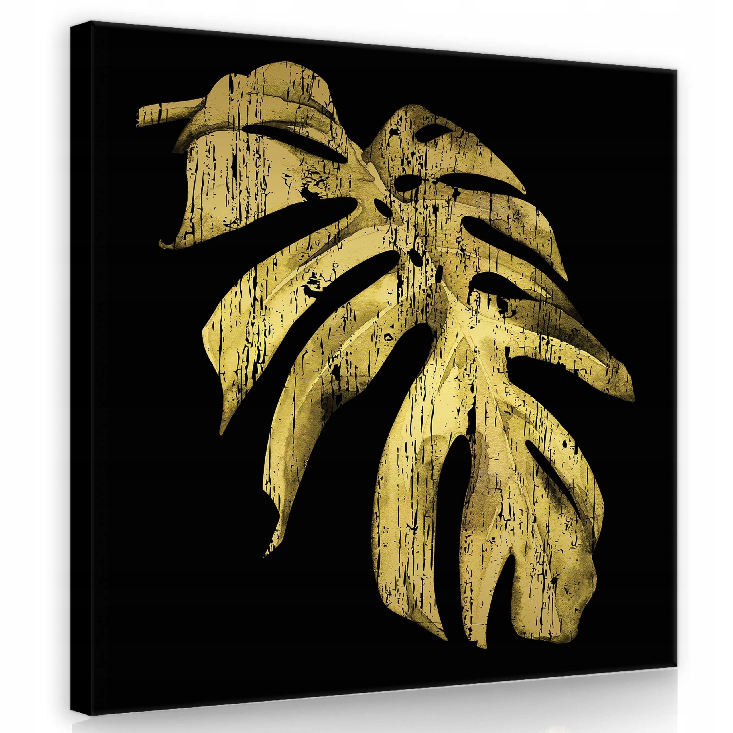 Obraz 80x80 Zlatý list monstera černé pozadí minimalismus elegance luxus