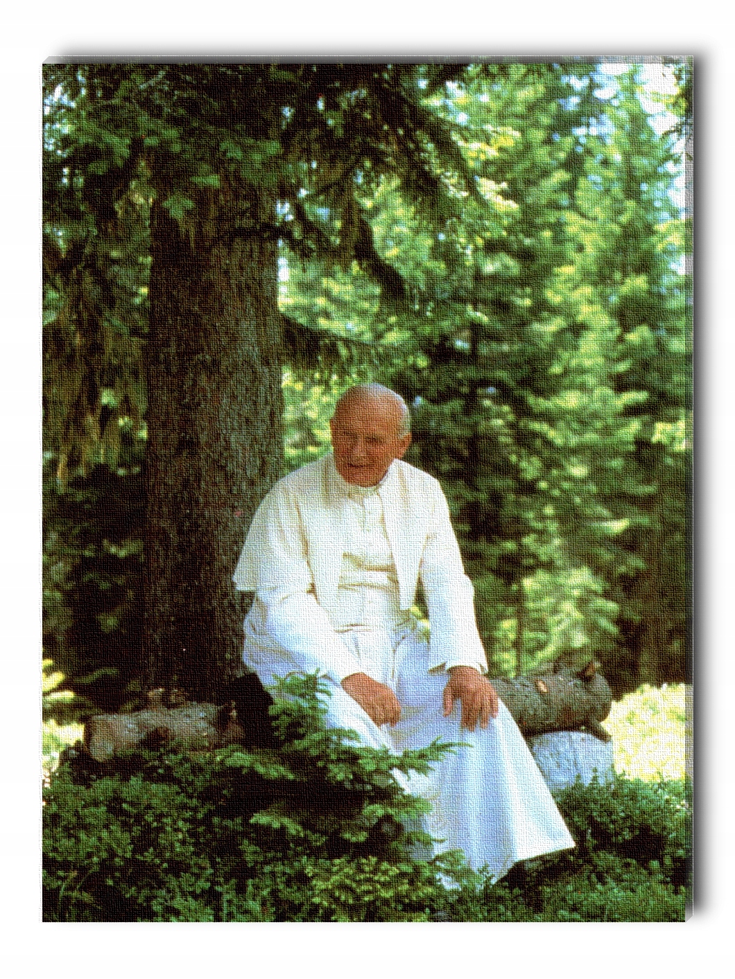 Obraz na płótnie papież Jan Paweł II w górach mały 9545758068 Allegro.pl