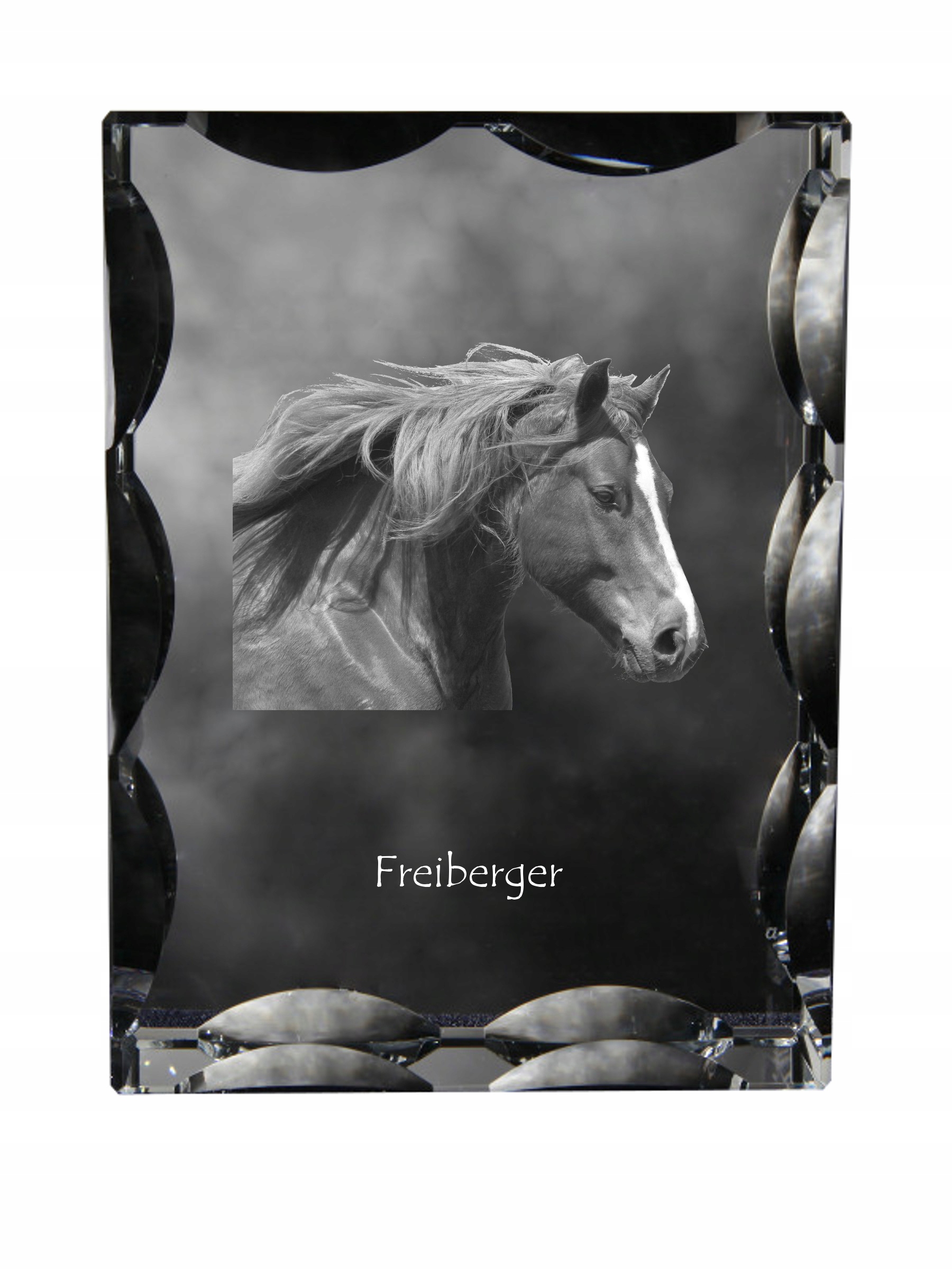 Kôň Freiberger fotografia v ozdobnom kryštáli, suvenír, dekorácia domu
