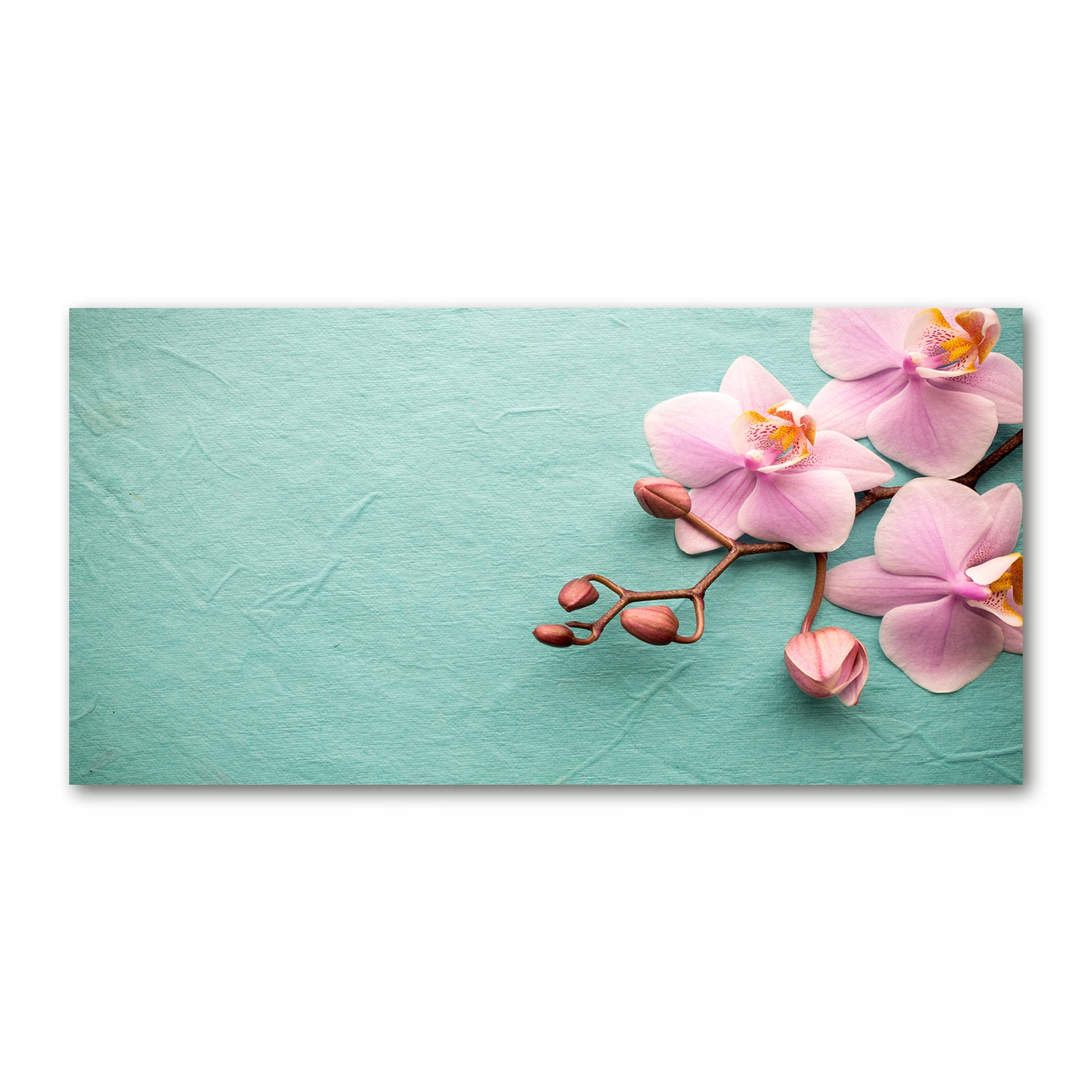 

Foto obraz akrylowy nowoczesny Orchidea 120X60 cm