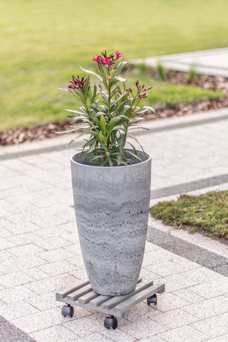 PODSTAWKA DREWNIANA NA KÓŁKACH pod doniczkę WYTRZYMAŁA SZARA szer. 28cm EAN (GTIN) 8714982122422