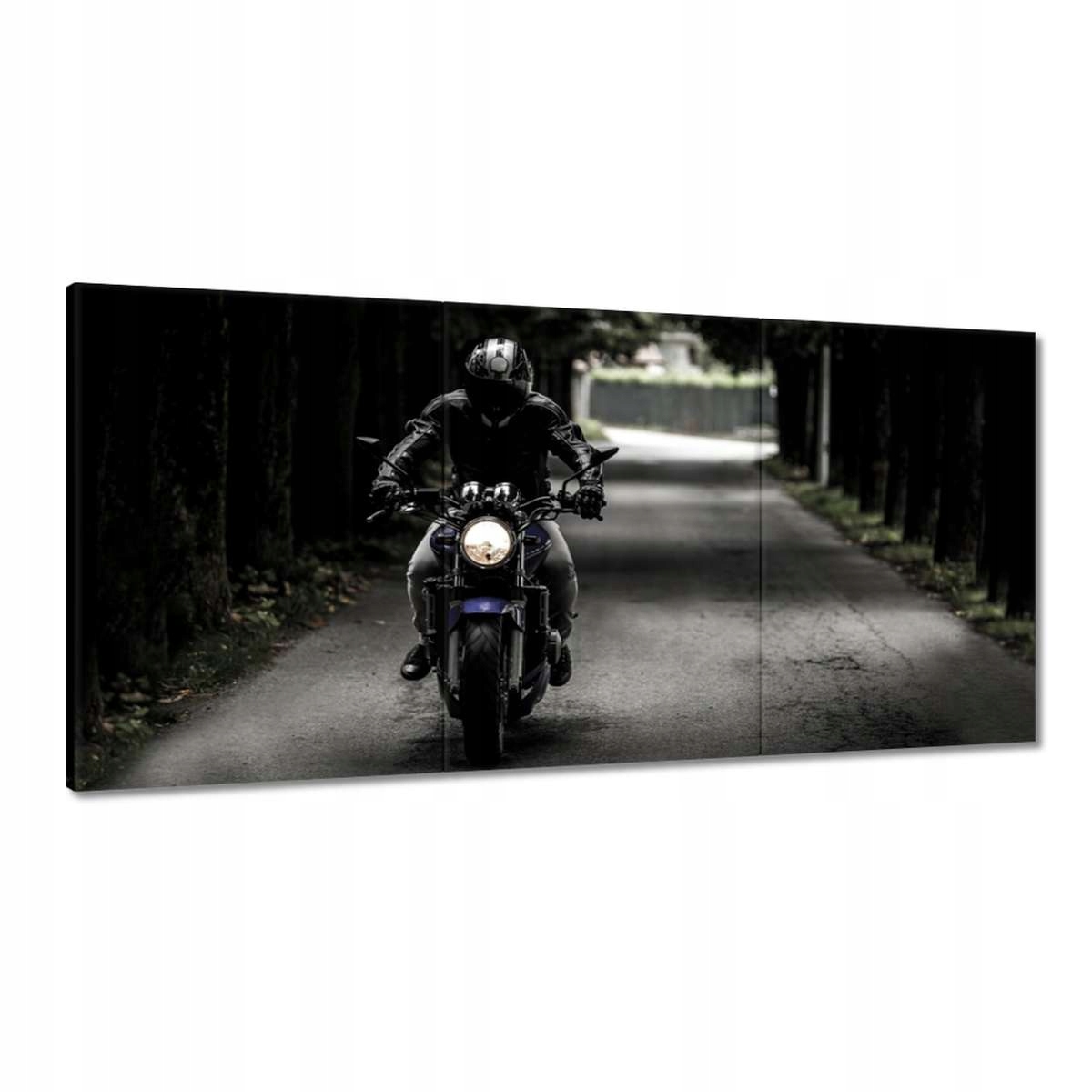 Obrazy 180x90 Motocyklista dokonalý