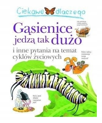 Ciekawe dlaczego gąsienice tak dużo jedzą. Belinda Weber