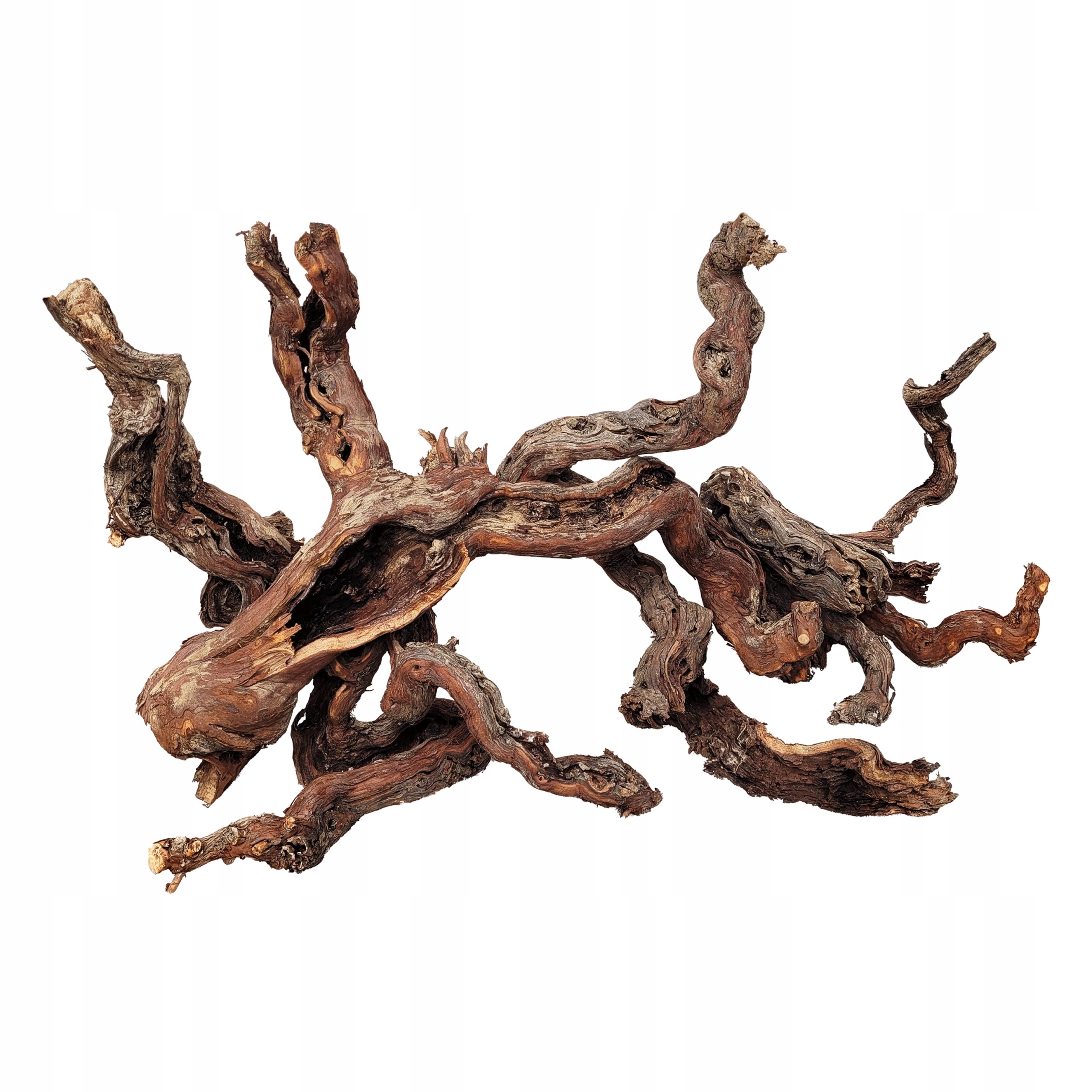 Levně Wio Centurion Wood 30-50 CM M 1 Ks