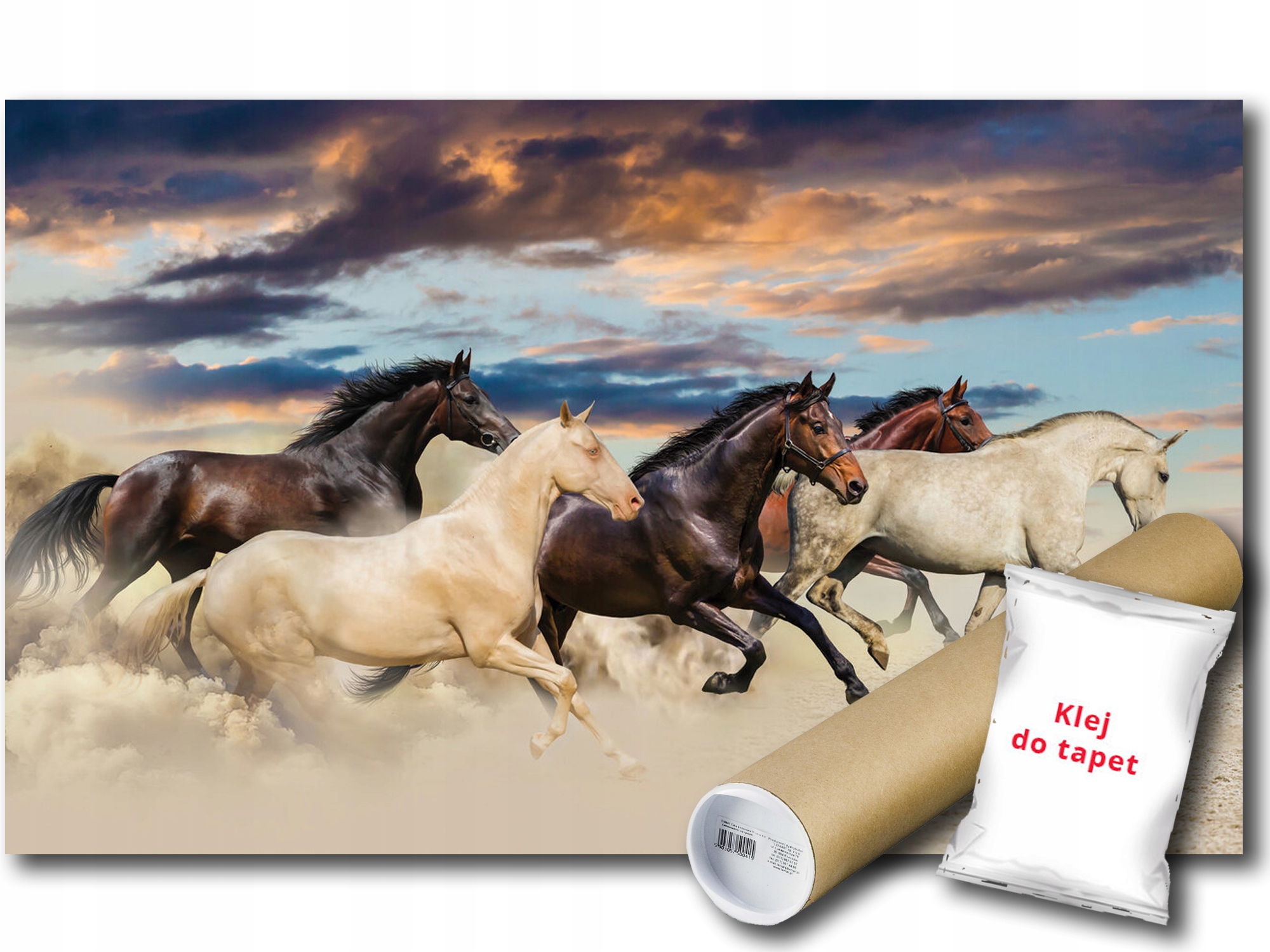 Vinylová Fototapeta Kôň Galop Cval Zvieratá Fauna Natura 416x254