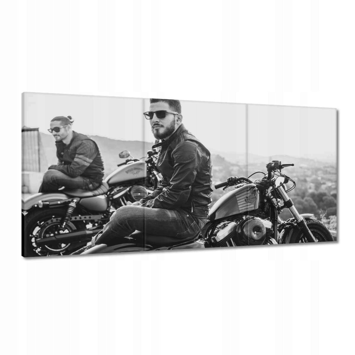 Obrazy 180x90 Harley Davidson Motocykel