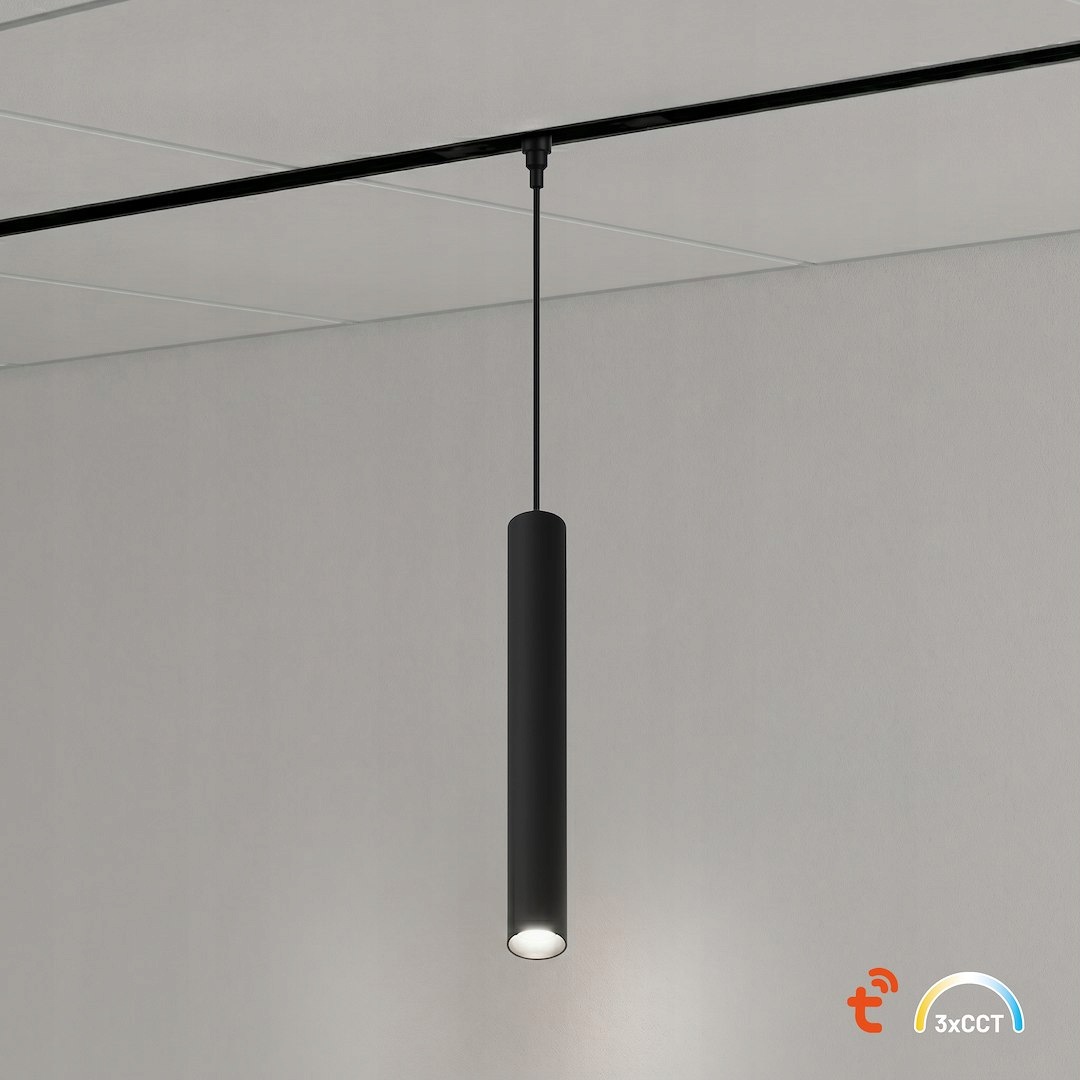 Magnetic přívěsek pro lištu 5mm 7W Cct 48V