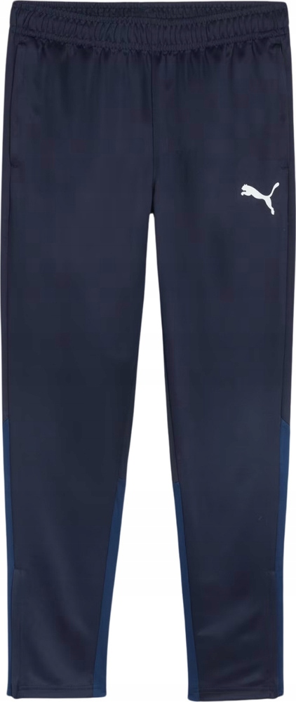 Pánské Kalhoty Puma Team Goal Training Tmavě Modré 658639 06 vel. S