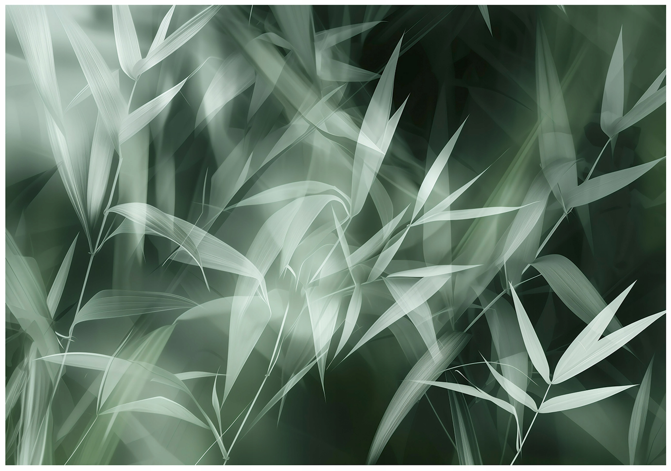 Tapeta Listy Zelené Abstrakce Fototapeta Na Zeď 250x175