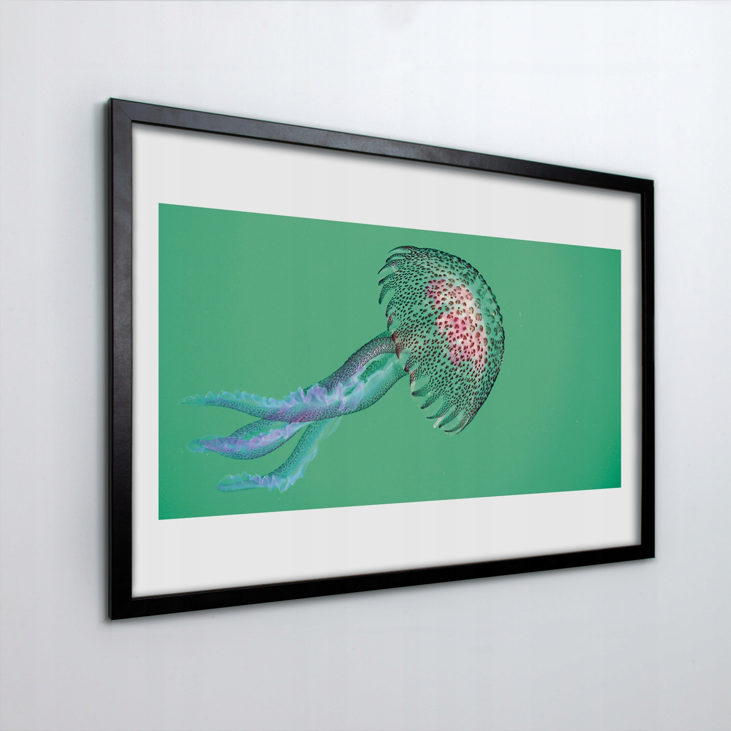 Nástěnný obraz v rámu Mdf Medúza oceán 60x40 cm