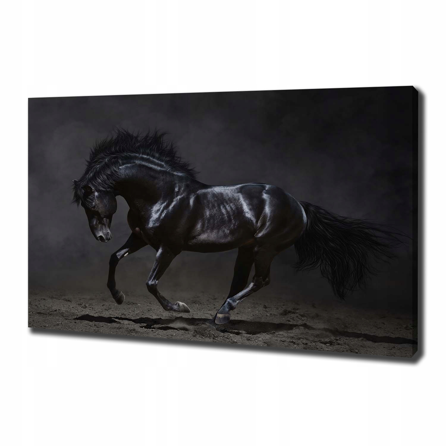 

Foto obraz canvas na ścianę Czarny koń 100x70 cm