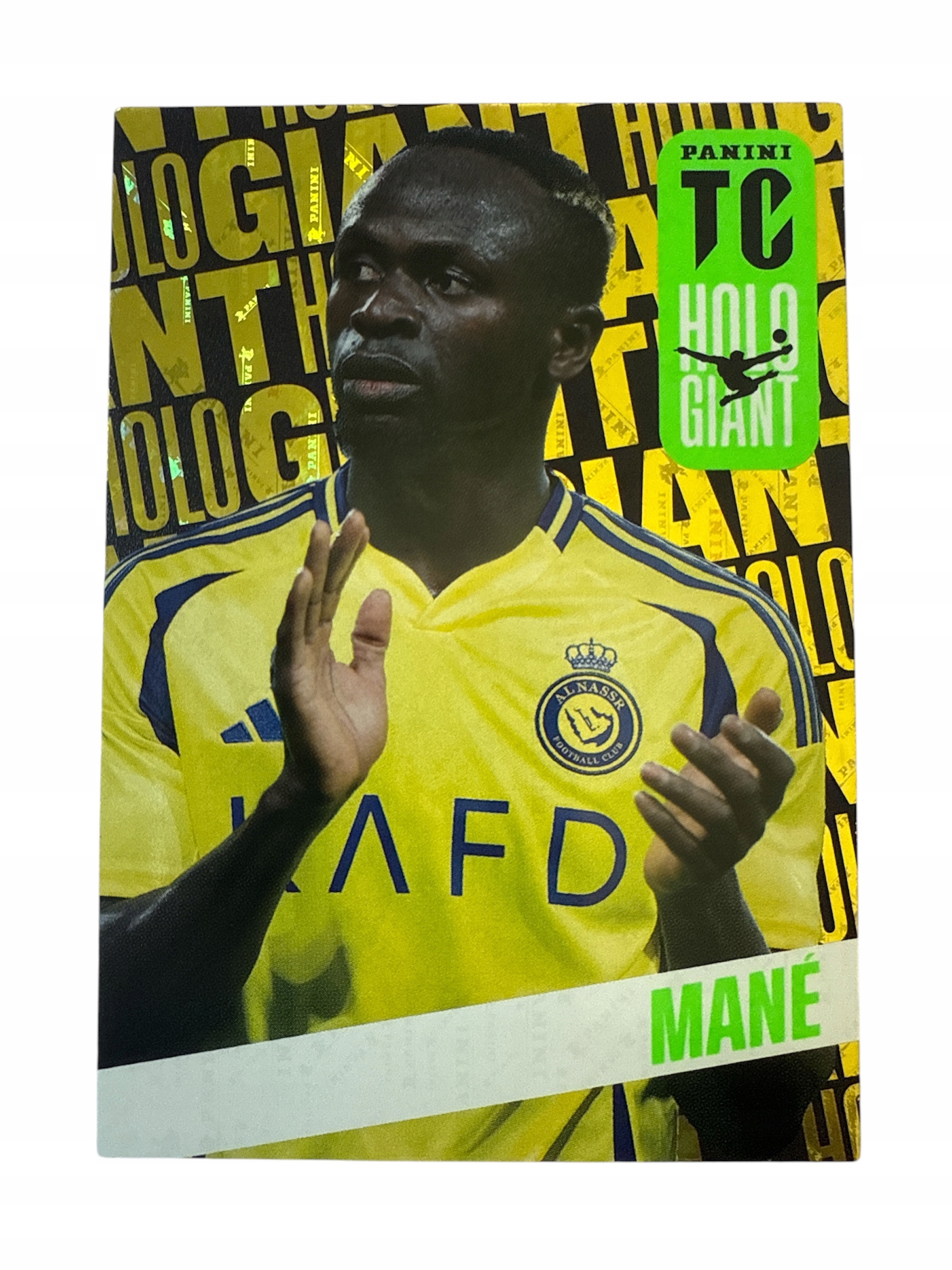 Top Class 2025 Limited Holo Mane