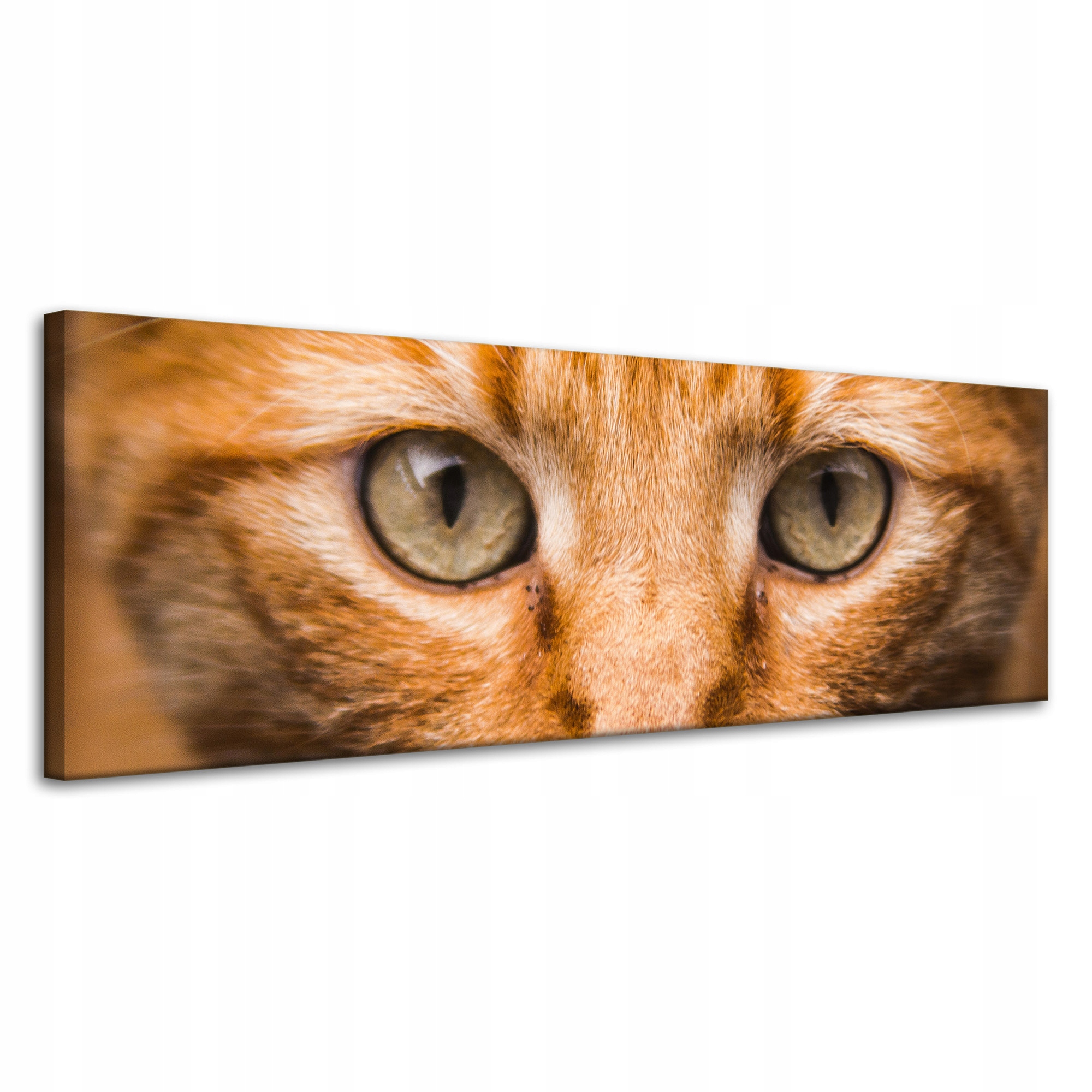 Obraz na plátně Tvář kočky zblízka 120x40
