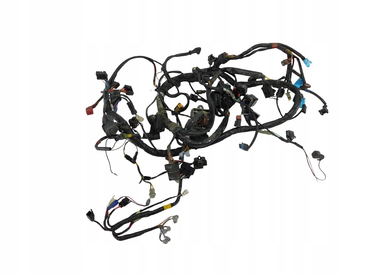 Elektrická Inštalácia Zväzok Triumph Tiger 01-06 955i U-11 T2500542