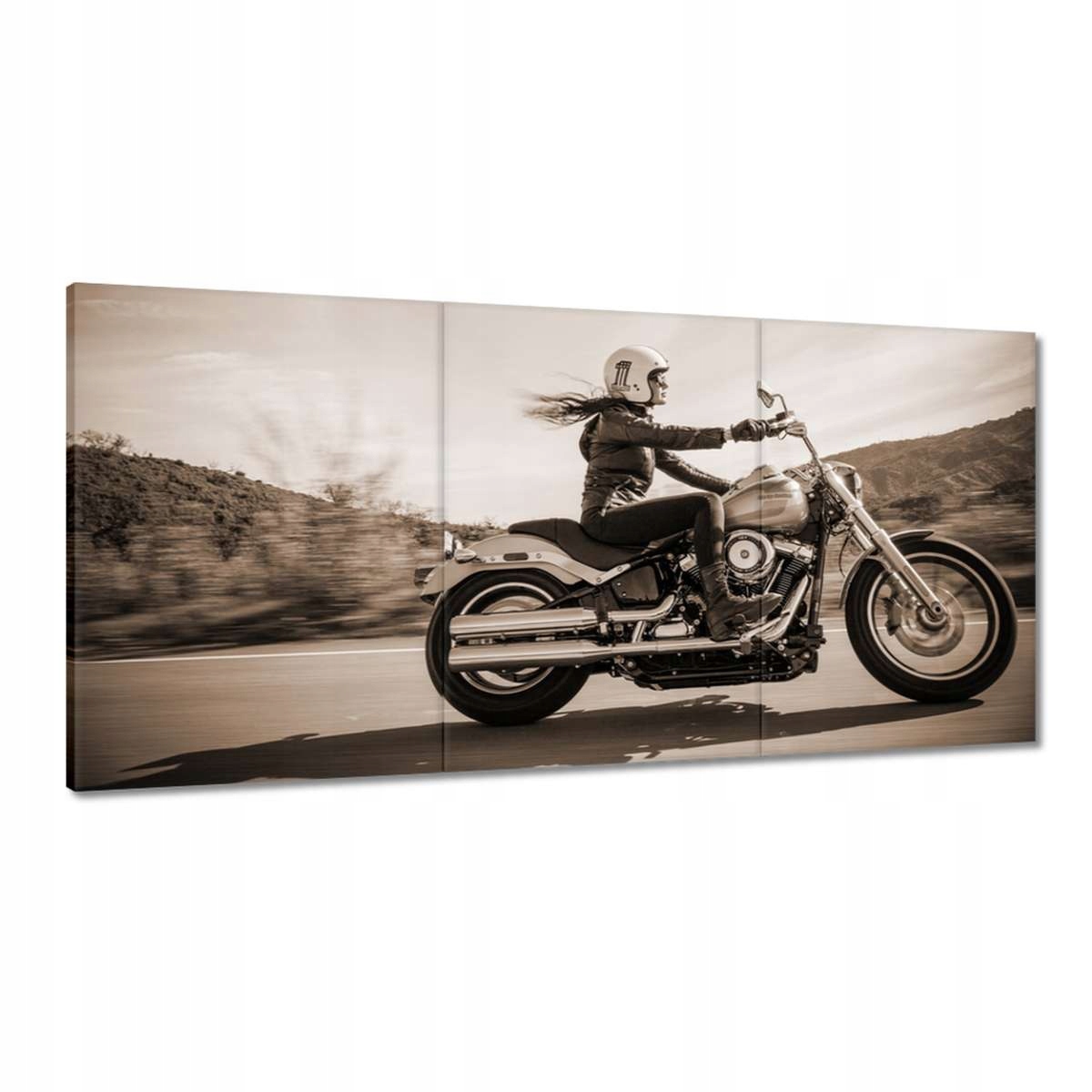 Obrazy 180x90 Harley Davidson Motocykel