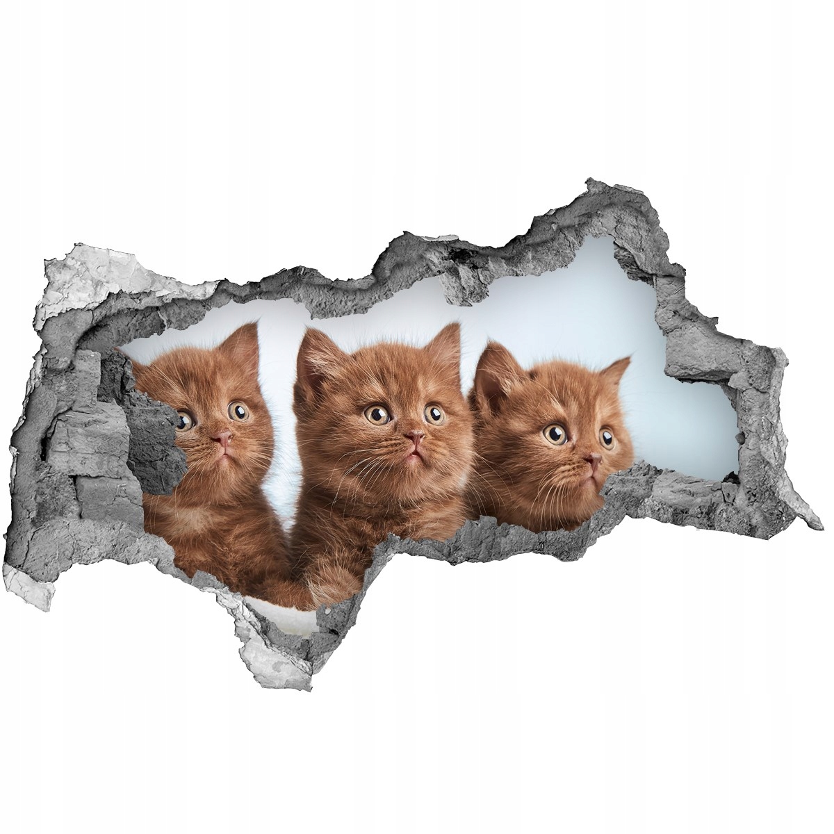 

Dziura 3d fototapeta na ścianę Kotki na ręczniku