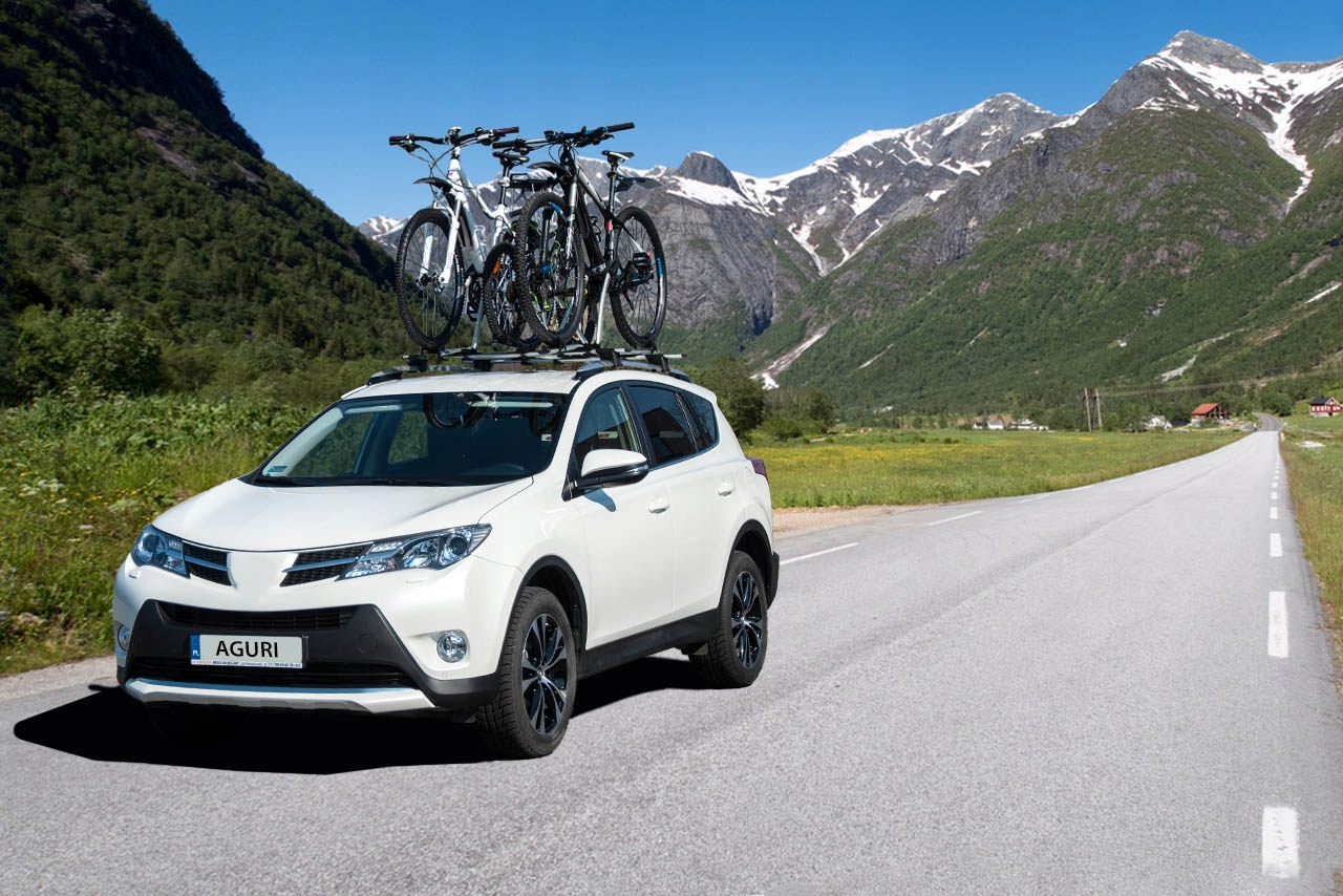 3x Aguri Bagaznik rowerowy Acuda III Silver NOWOSC Producent code 51182