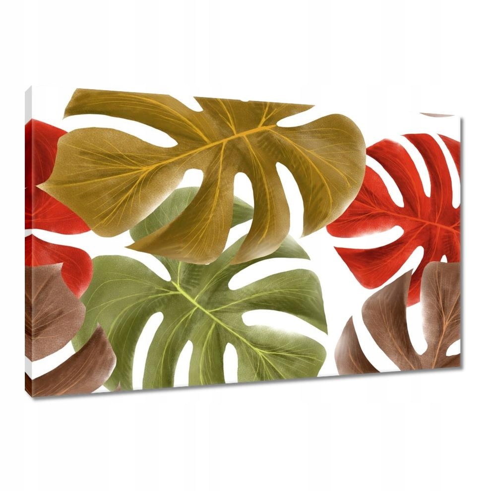 

Obrazy 120x80 Jesienna Monstera Liście