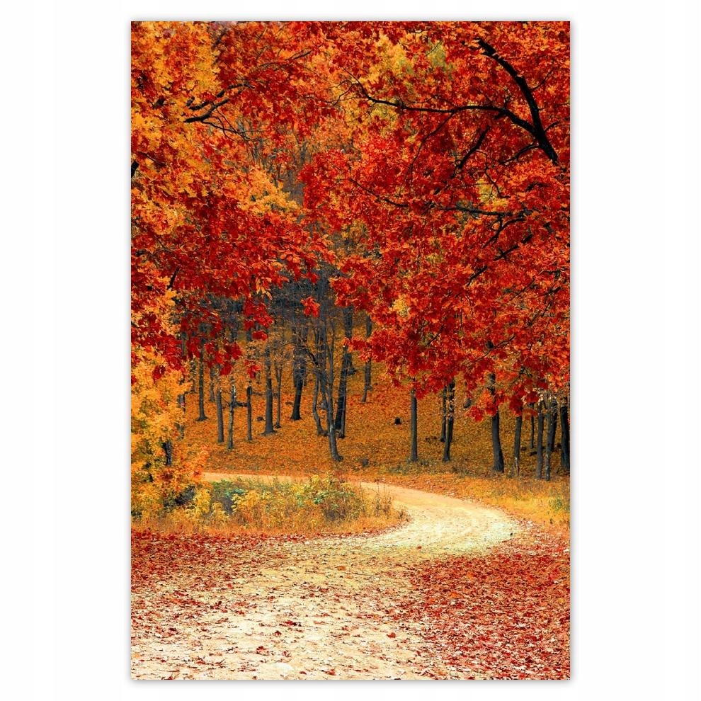 

Plakat 62x93 Pejzaż Krajobraz