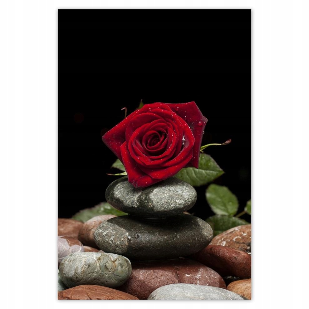 

Plakat 62x93 Spa Wellness Relaks Woda