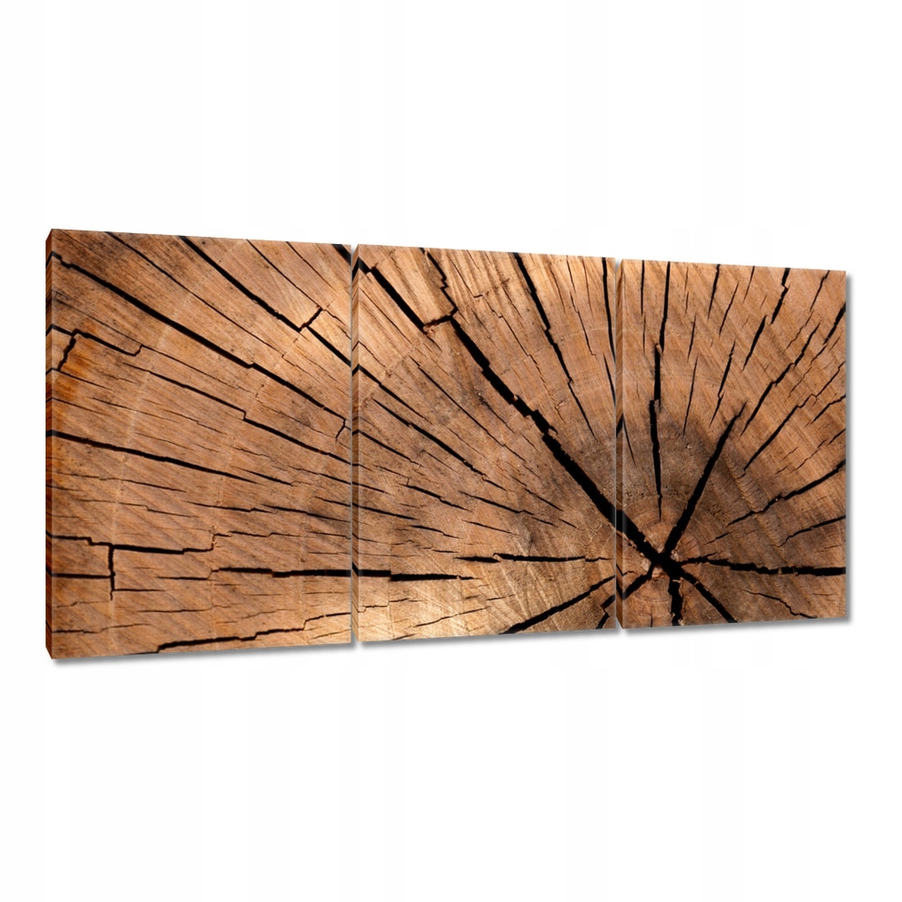 

Obrazy 120x60 Słoje