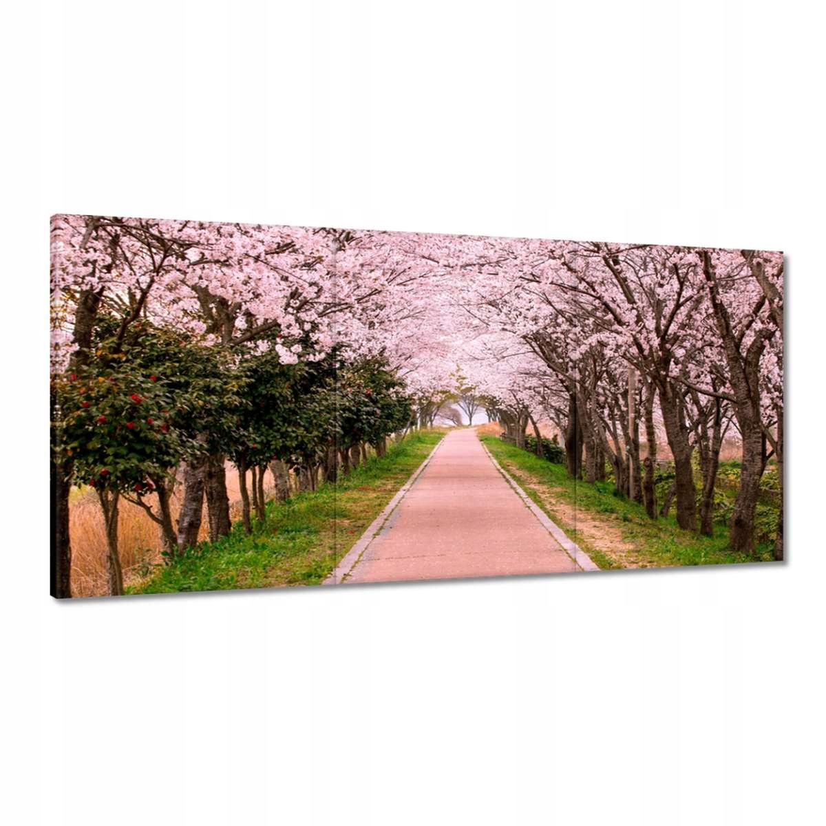 Obrazy 120x60 Květiny Květiny