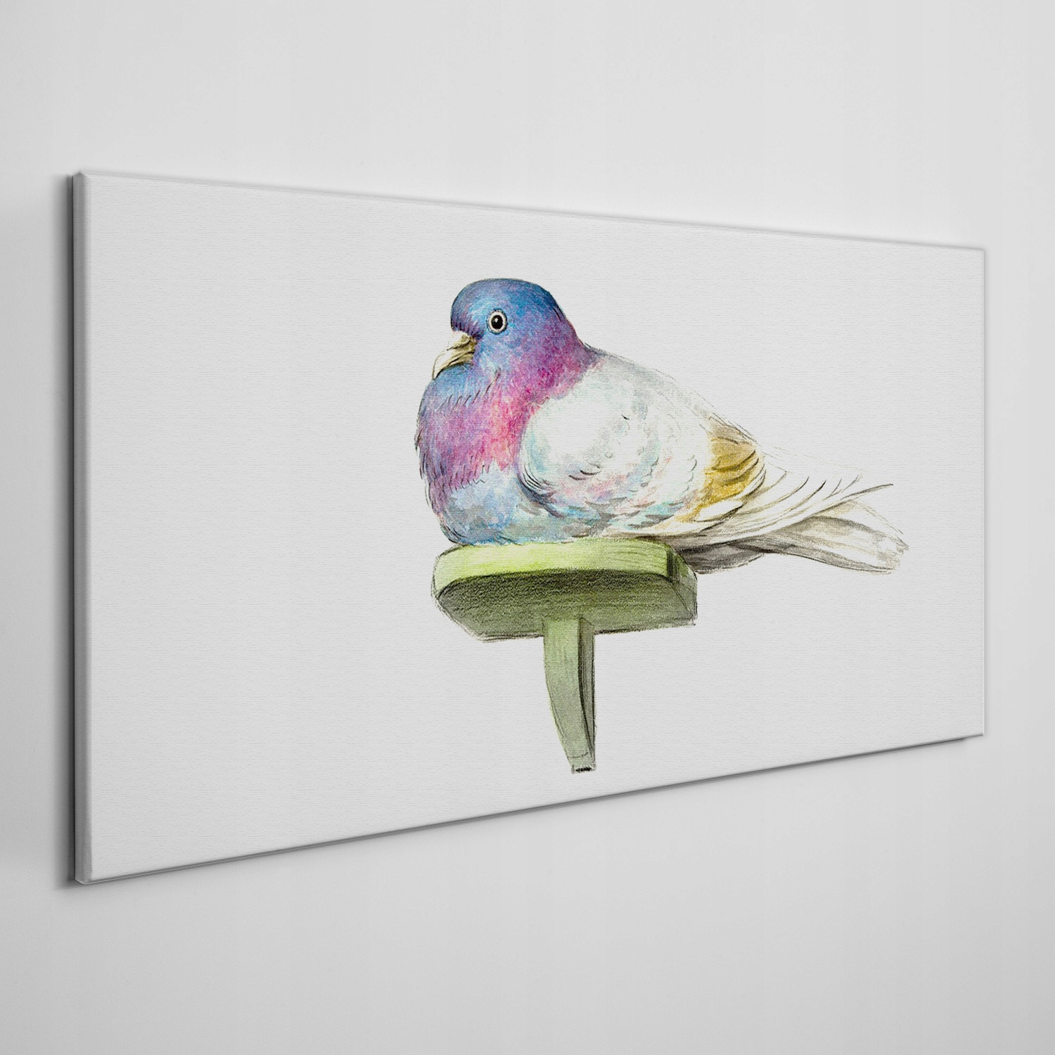 

Obraz na ramie płótno Zwierzę ptak gołąb 100x50 cm