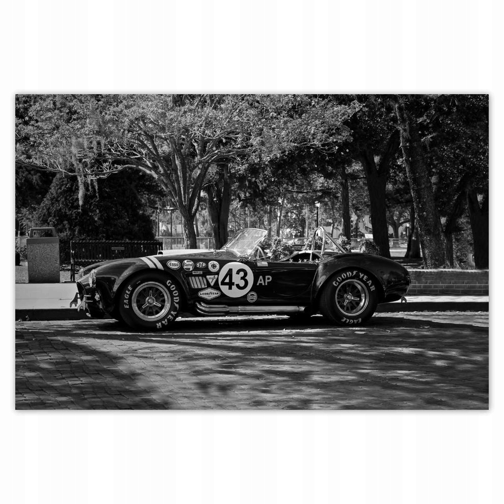 

Plakat 93x62 Shelby