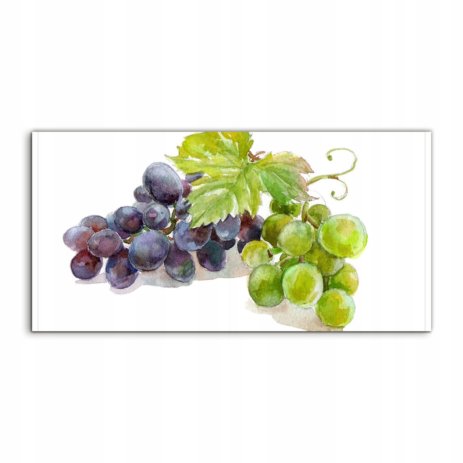 Fotoobraz 100x50 Závesné víno Ovocie Listy na stenu