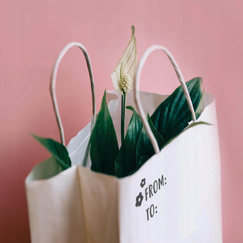 pieczątka LITTLE NIO CRAFT stempel Liczba wersów 1-2 wersy