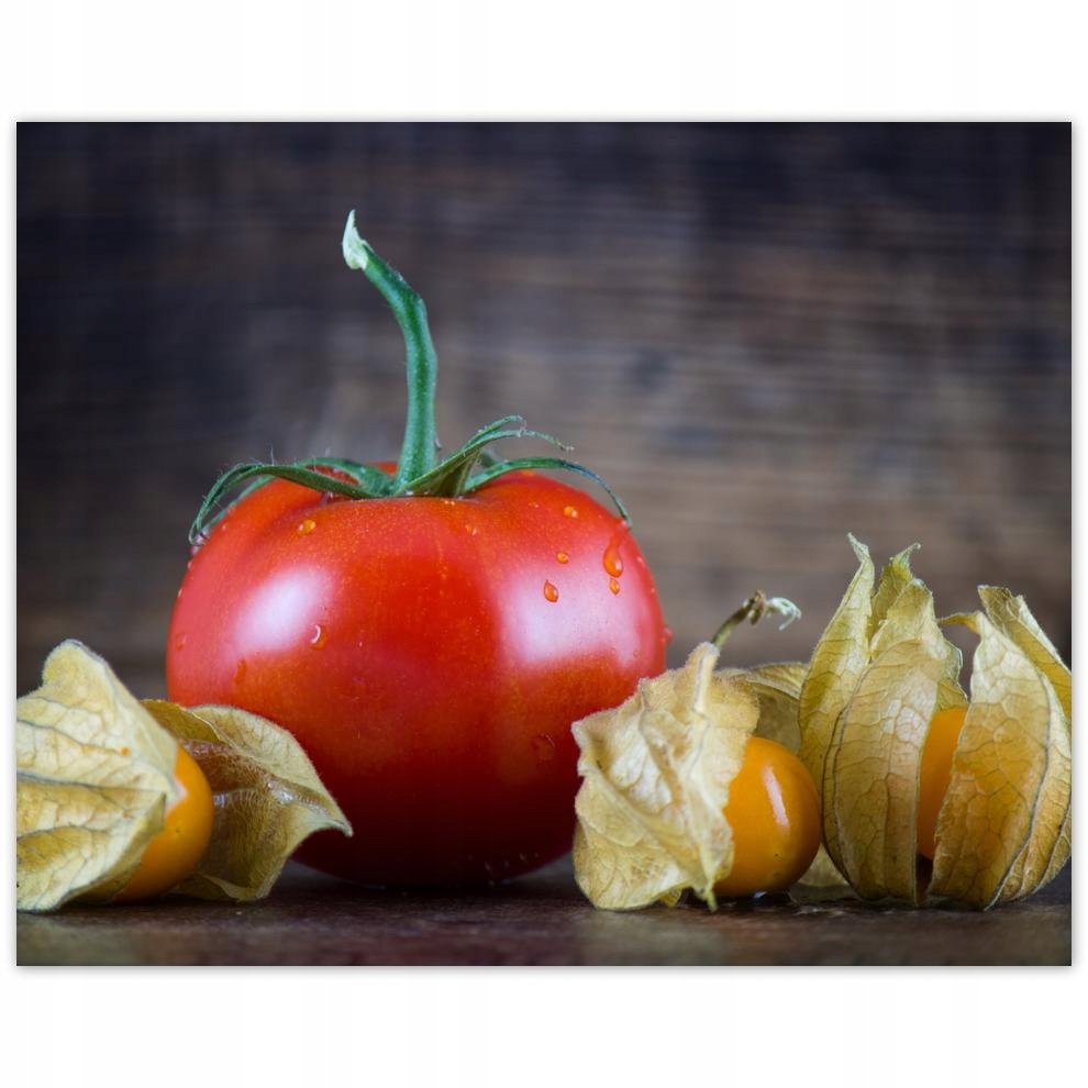 

Plakat 50x40 Kuchenne Obrazy Rewolucje
